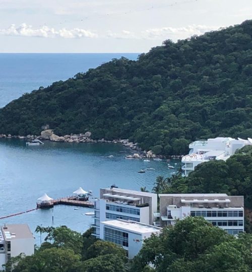 MicrosoftTeams-image (5)