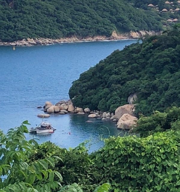 MicrosoftTeams-image (6)